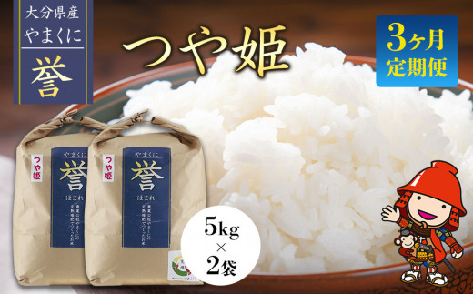 6ヶ月定期便】【九州米・食味コンクール最優秀賞受賞】令和5年産 大分