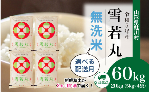 令和5年産 雪若丸 【無洗米】 定期便 60㎏（20kg×2カ月間隔で3回お届け