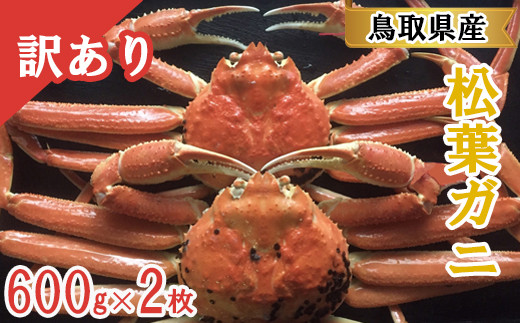 EY08：３種の魚燻製セット（天然ブリ・鯖・境港サーモン） - 鳥取県