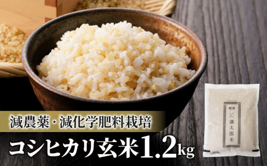 販売店 最強 清流育ち 兵庫県丹波篠山米 玄米30kg(減農薬,減化学肥料