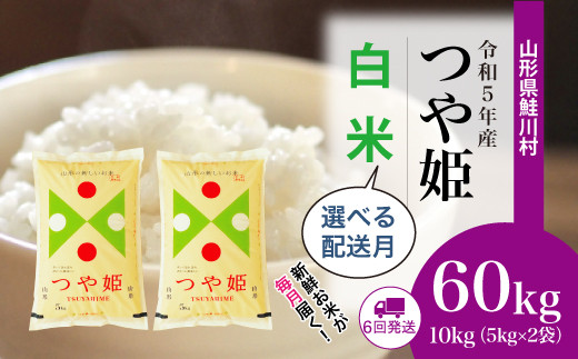 2023年産 先行受付＞ 令和5年産 特別栽培米 つや姫 【白米】 定期便 60