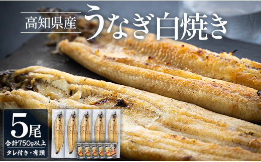 高知県産うなぎの白焼き 150～180ｇ×5尾 - エコ包装 国産 うなぎ 白