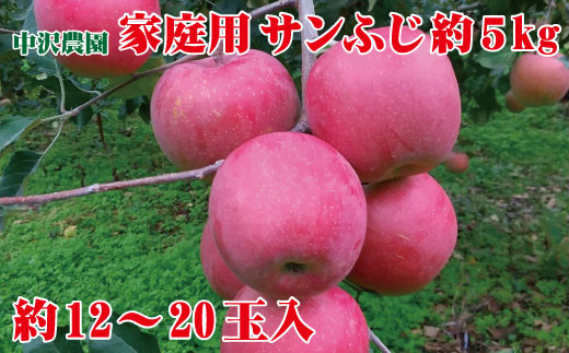 サンプル写真