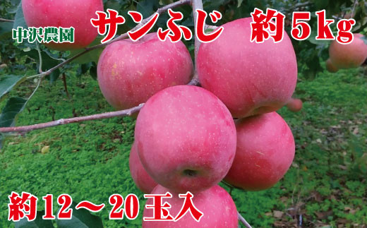 サンプル写真