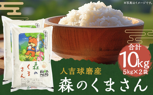 令和4年産 人吉球磨産 森のくまさん 10kg 5kg×2 米 熊本 熊本県産