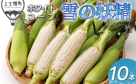 北海道とうもろこし ホワイト雪の妖精24本 - 野菜