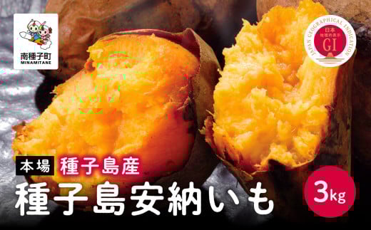 安納いも Mサイズ 20kg 4649　種子島産安納芋さつまいも 安納いも Mサイズ 20kg 4649様専用 種子島産安納芋さつまいも