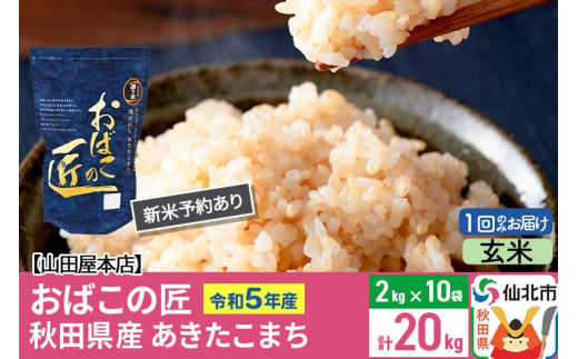 令和5年産 あきたこまち 新米 玄米 20kg - 米