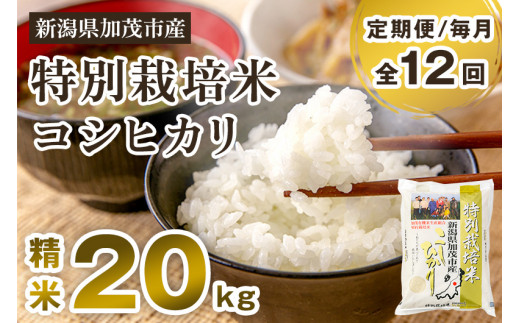 令和5年産米】新潟県加茂市産 特別栽培米コシヒカリ 精米20kg（5kg×4