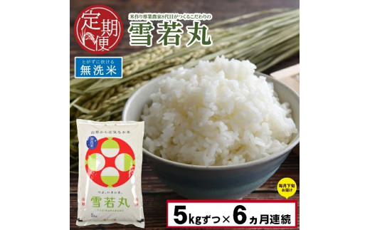 こだわり農家の自慢米  無洗米5kg×2(無農薬栽培)