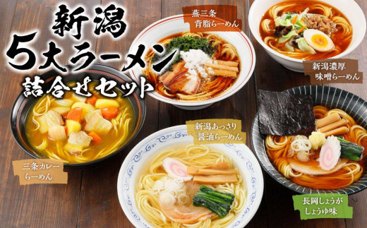 新潟５大ラーメン詰合せセット[NR-V2R] - 新潟県十日町市｜ふるさと