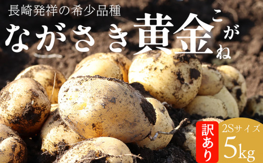 ナッツ①　新ジャガ(長崎黄金) Mサイズ25kg ナッツ様専用② 新ジャガ(長崎黄金) Mサイズ25kg ジャガイモ ながさき
