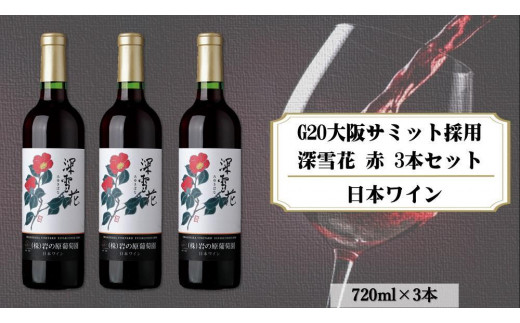 岩の原ワイン 深雪花（みゆきばな）赤 3本セット（各720ｍｌ） - 新潟