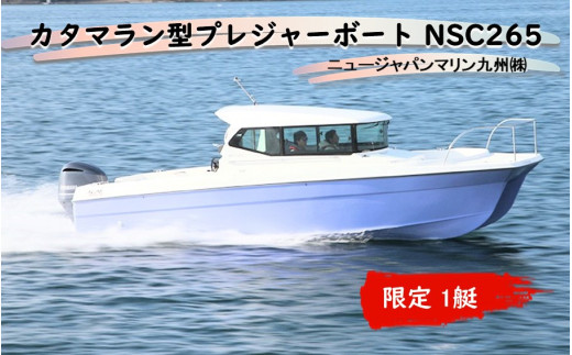 カタマラン型プレジャーボート NSC265_2241R - 大分県国東市