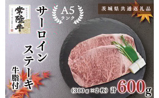 y錧szKCK-2y錧ʕԗizy헤A5NzT[CXe[L@600i300×Qj