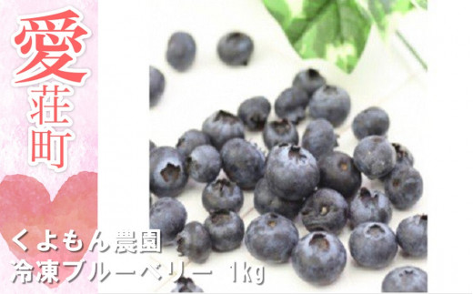 くよもん農園 冷凍ブルーベリー 1kg【人気の返礼品】 - 滋賀県愛荘町