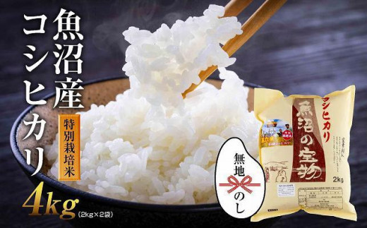 ふるさと納税 新潟県加茂市産 特別栽培米コシヒカリ 玄米25kg（5kg×5