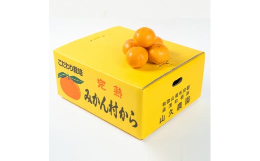 ya̎R󒬁zZP6108n_yӂ邳Ɣ[ŁzLc݂ G 7kg (STCY)y~J  k B݂ a̎R Lcz