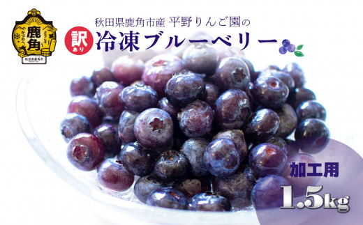 訳あり】農家直送！加工用 冷凍ブルーベリー 約1.5kg（サイズMIX