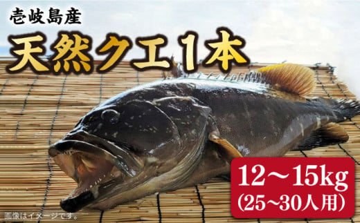 9月～翌年1月限定】 天然クエ 丸もの 12〜15kg（ 鍋・刺身：約25〜30人前） 《壱岐市》【丸和水産】[JCJ012] クエ くえ 冷蔵 直送  海鮮 鮮魚 刺身 刺し身 お刺身 クエ鍋 くえ鍋 1本 1匹 高級魚500000 500000円 50万円 - 長崎県壱岐市｜ふるさとチョイス -  ふるさと納税サイト