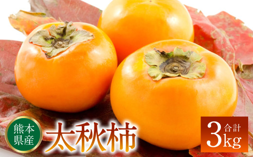 太秋柿 3kg - 熊本県八代市｜ふるさとチョイス - ふるさと納税サイト