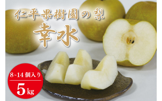 仁平果樹園の梨(幸水)(DB001) - 栃木県益子町｜ふるさとチョイス 