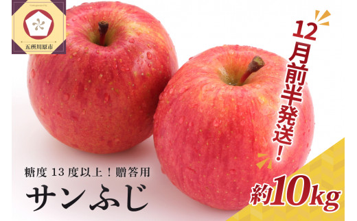 【青森県五所川原市】【2025年12月前半発送】 りんご 約10kg サンふじ 青森産 糖度 13度以上 贈答用 特選〜特秀