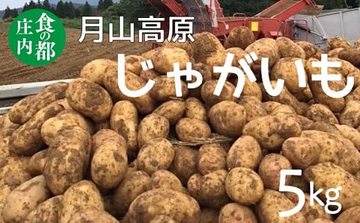 yR`O쒬zH̓s@R̂Ⴊ@5kg10{`1{