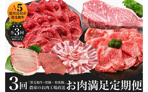 農家のお肉工場直送【3回定期便】鹿児島県産お肉満足定期便 027-94