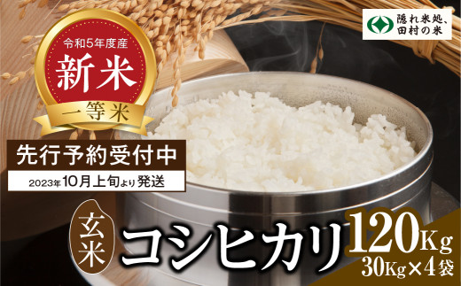 9/30まで!!受付終了】【新米 先行予約】 玄米 コシヒカリ 120kg