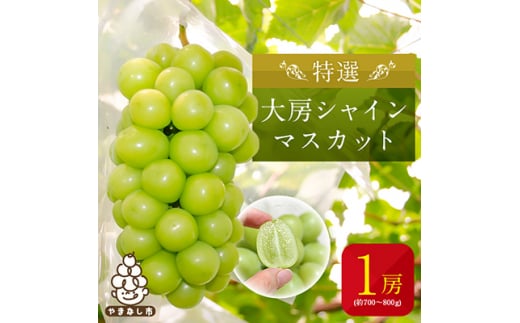 2025年度先行予約＞特選大房シャインマスカット1房(約700～800g) ふるさと納税【1021827】 - 山梨県山梨市｜ふるさとチョイス -  ふるさと納税サイト