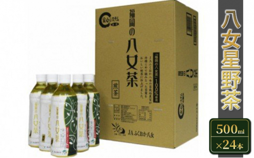 お茶 ペットボトル 煎茶 八女茶 500ml×24本 - 福岡県朝倉市｜ふるさと