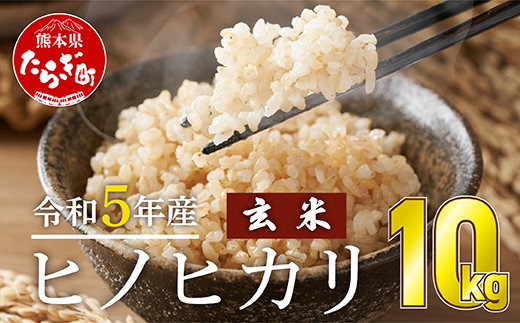 【先行予約】＜令和5年産 新米＞ ヒノヒカリ 玄米 10kg ＜5kg×2袋＞ 【 ひのひかり 玄米 熊本のお米 美味しいお米 健康志向 栄養 】  088-0669-gn