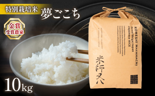 【年内配送】 令和5年産 新米 夢ごこち 10kg ( ブランド 米 rice 精米