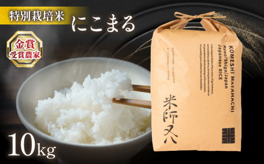 令和6年産 新米 にこまる 10kg ( 2024年産 新米 ブランド 米 rice 精米 