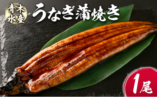 うなぎ うなぎ蒲焼 60尾型 | ケース販売 - Ushop