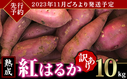 【訳あり】茨城県産熟成さつまいも「紅はるか」10kg【さつまいも 紅はるか 芋 サツマイモ 甘い 焼き芋 スイートポテト 茨城県産 大容量 不揃い  ねっとり】