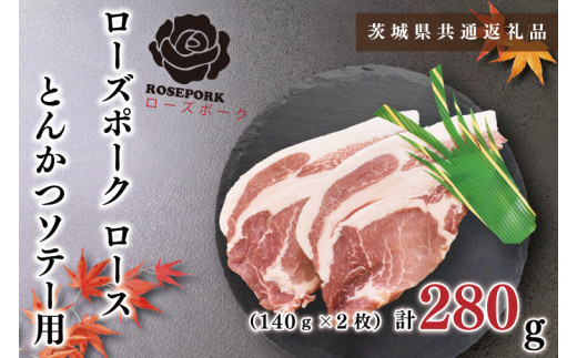 y錧szKCK-37y錧ʕԗizy[Y|[Nz[XƂ񂩂\e[p280gi140g×Qj