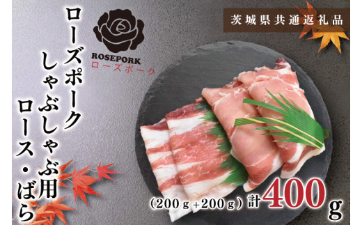 y錧szKCK-40y錧ʕԗizy[Y|[NzԂԗp400gi[X200gE΂200gj