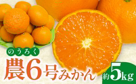 【香川県三豊市】【ふるさと納税】フルーツ デザート 果物 果実 マンダリンオレンジ 高糖度 農6号 みかん のうろく 約5kg 柑橘 農研機構果樹研究所 新品種 お土産 ギフト 風味 香川県 三豊市