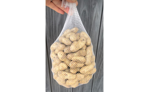 予約商品】掘りたて おおまさり 生落花生 1kg 栽培期間中農薬不