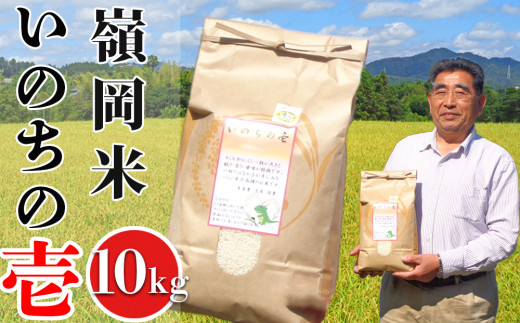 信州産　お米　「いのちの壱」10キロ　うるち米　新米 信州産 お米 いのちの壱 10キロ うるち米 新米 【公式通販】