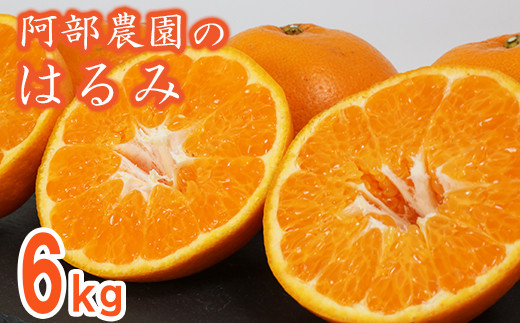 阿部農園の「はるみ 約6kg」 みかん 柑橘類 はるみ 先行予約 数量限定 ...
