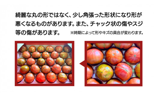 【2024年3月上旬発送開始】《訳あり》 スーパーフルーツトマト 大箱 約2.6kg×2箱 糖度9度以上 トマト とまと 野菜 [BC039sa]