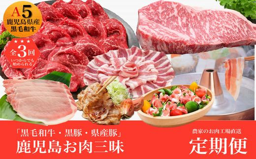 農家のお肉工場直送【3回定期便】鹿児島お肉三昧定期便 027-93