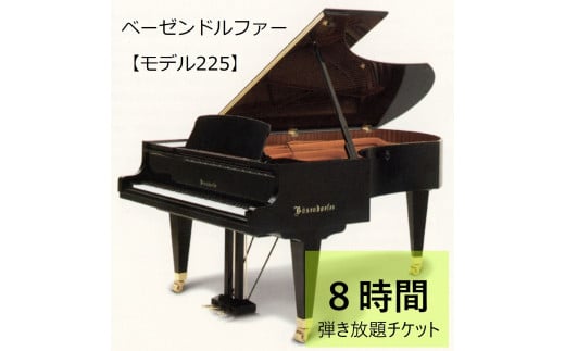 ベーゼンドルファー【モデル225】弾き放題チケット８時間 - 兵庫県養父市｜ふるさとチョイス - ふるさと納税サイト