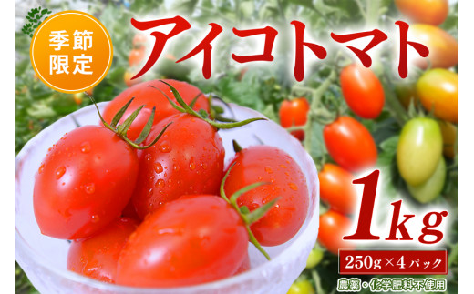 離島は別料金になります熊本、阿蘇の美味しいミニトマト 連絡、注文