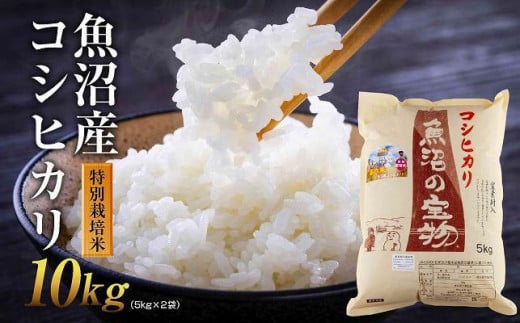 お米10kg 令和2年魚沼産コシヒカリ白米 - 米/穀物