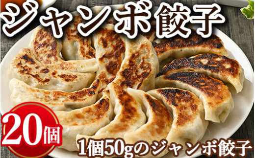 ジャンボ餃子 20個入り ※着日指定不可 - 栃木県宇都宮市｜ふるさと