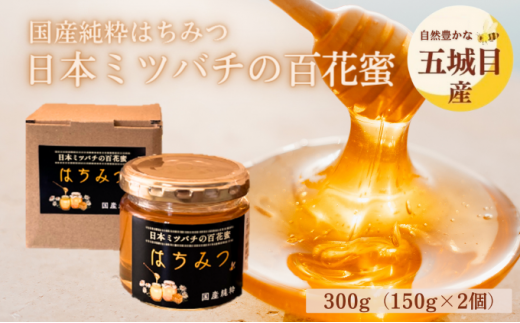 日本ミツバチ完熟蜂蜜秋蜜×2   調味料